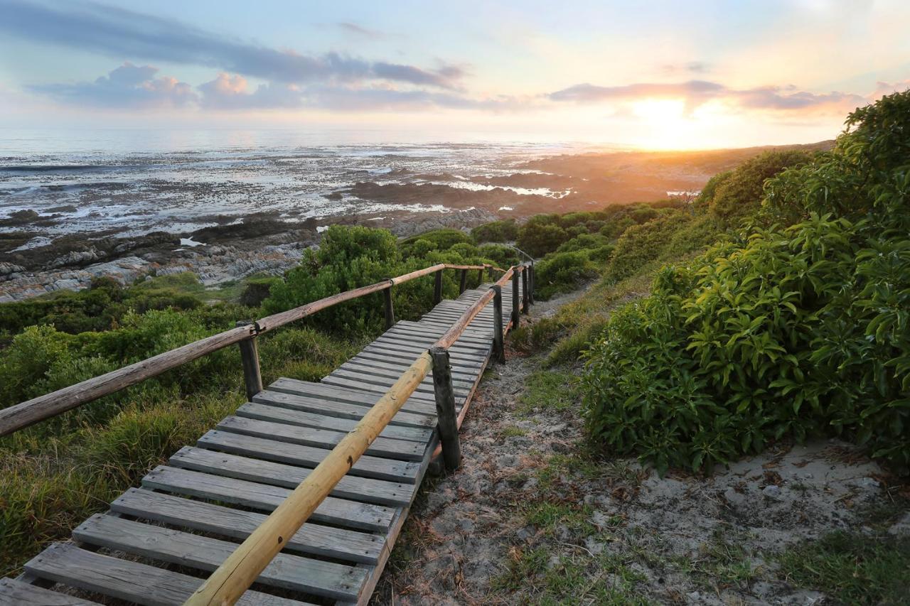 Hotel Walker Bay Manor Mansion Pty Hermanus Zewnętrze zdjęcie